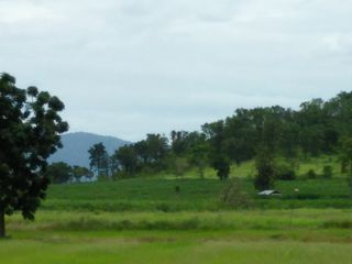 For sale land in Nong Muang, Lopburi