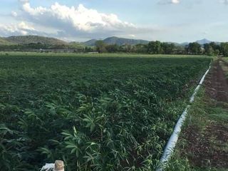 For sale land in Nong Muang, Lopburi