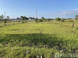 For sale land in Phibun Mangsahan, Ubon Ratchathani