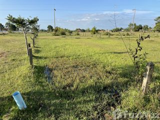 For sale land in Phibun Mangsahan, Ubon Ratchathani