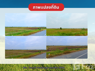 For sale land in Non Sung, Nakhon Ratchasima