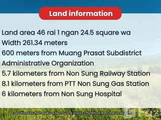 For sale land in Non Sung, Nakhon Ratchasima