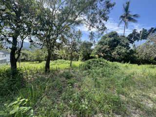 For sale land in Ko Samui, Surat Thani