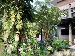 For rent 3 bed villa in Hang Dong, Chiang Mai
