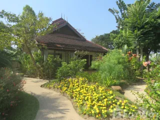 For sale 11 bed hotel in Mueang Chiang Mai, Chiang Mai