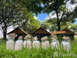 For rent retail Space in Mae Rim, Chiang Mai