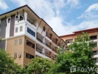 For sale 100 bed retail Space in Mueang Chiang Mai, Chiang Mai