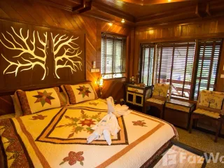 For sale 16 bed hotel in San Sai, Chiang Mai