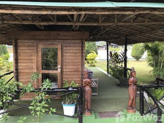 For sale 12 bed hotel in Chiang Dao, Chiang Mai