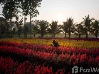For sale 4 bed hotel in Chiang Dao, Chiang Mai