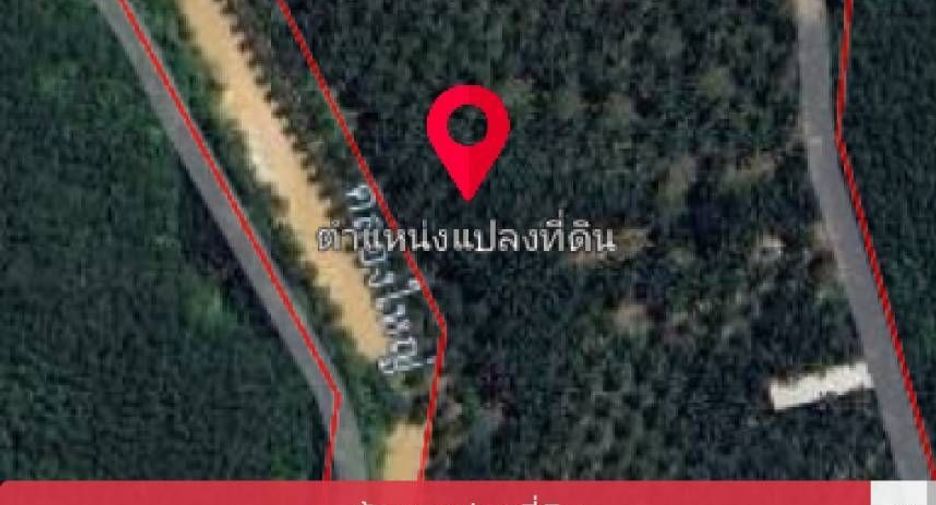 For sale studio house in Nong Yai, Chonburi