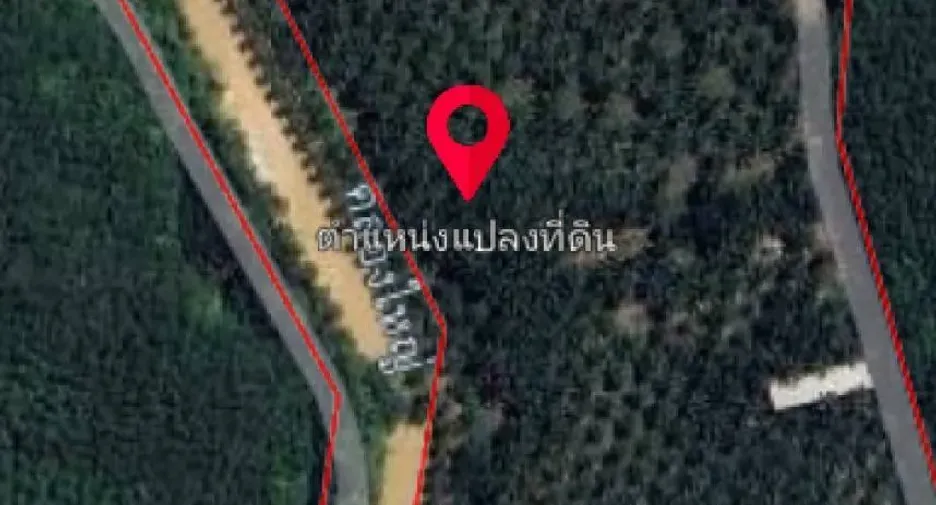 For sale studio house in Nong Yai, Chonburi