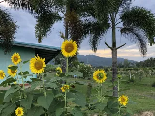 For sale 5 bed hotel in Kui Buri, Prachuap Khiri Khan