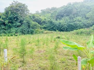 For sale land in Hua Hin, Prachuap Khiri Khan