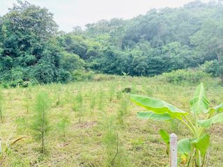 For sale land in Hua Hin, Prachuap Khiri Khan