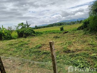 For sale land in Mae Lao, Chiang Rai