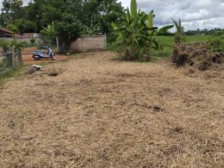 For sale land in Mae Lao, Chiang Rai