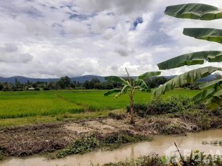 For sale land in Mae Lao, Chiang Rai