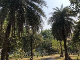 For rent 8 bed house in Mueang Nakhon Nayok, Nakhon Nayok