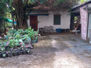 For sale 24 bed house in Phan, Chiang Rai
