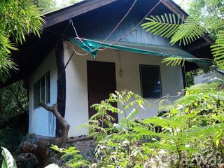 For sale 24 bed house in Phan, Chiang Rai
