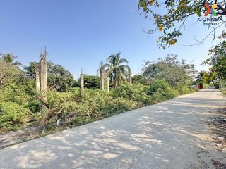 For sale 1 bed land in Nakhon Chai Si, Nakhon Pathom
