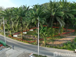 For sale land in Thalang, Phuket