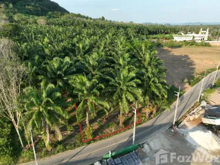 For sale land in Thalang, Phuket