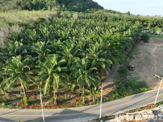 For sale land in Thalang, Phuket