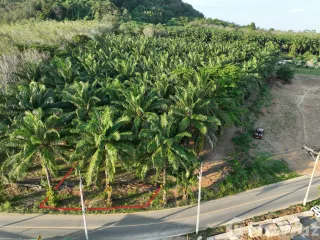 For sale land in Thalang, Phuket