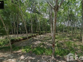 For sale land in Ban Khai, Rayong