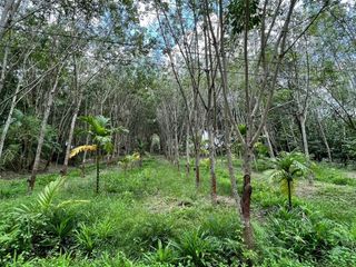 For sale land in Ban Khai, Rayong
