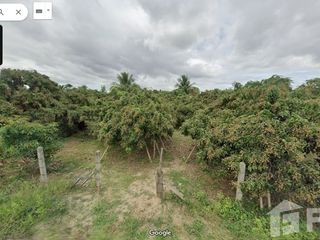 For sale land in Pa Sang, Lamphun