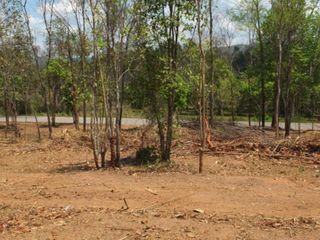 For sale land in Mae On, Chiang Mai