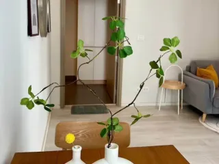 For rent and for sale 1 bed condo in Pathum Wan, Bangkok