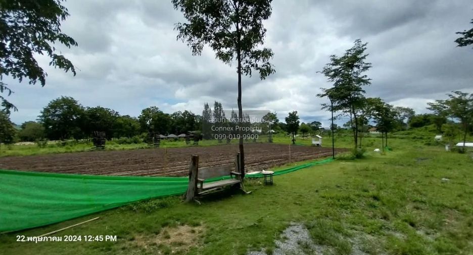 For sale 1 bed land in Pak Chong, Nakhon Ratchasima