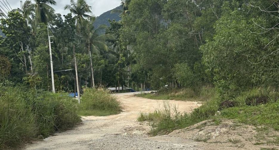 For sale 2 bedrooms house in Ko Pha-ngan, Surat Thani