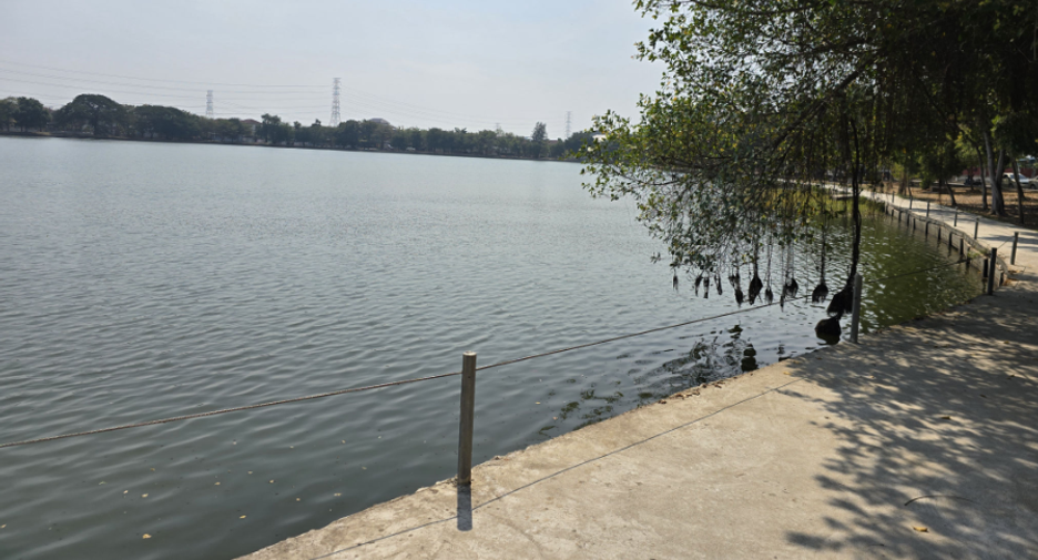 For sale 1 Beds house in Mueang Pathum Thani, Pathum Thani
