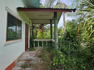 出售 1 卧室 独立屋 在 Mueang Nong Bua Lam Phu, Nong Bua Lam Phu