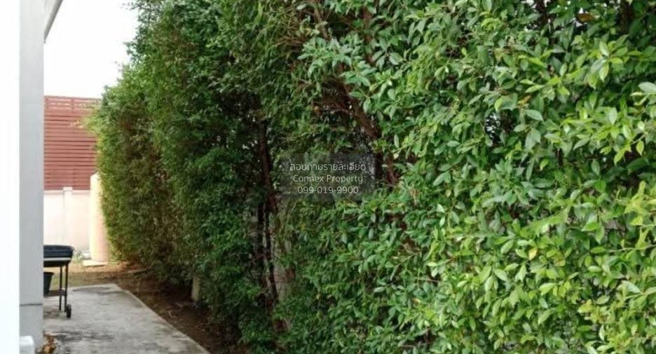 For rent 4 bedrooms house in Khan Na Yao, Bangkok