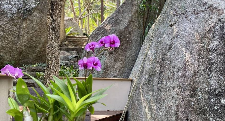 For sale 2 bedrooms villa in Ko Samui, Surat Thani
