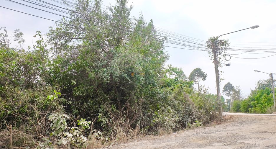 Grundstück zum Kauf in Bang Lamung, Chonburi