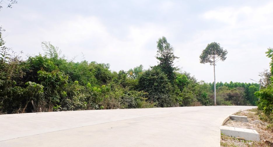 Grundstück zum Kauf in Bang Lamung, Chonburi