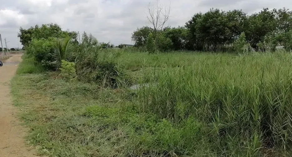 For sale 2 bedrooms land in Ban Pho, Chachoengsao