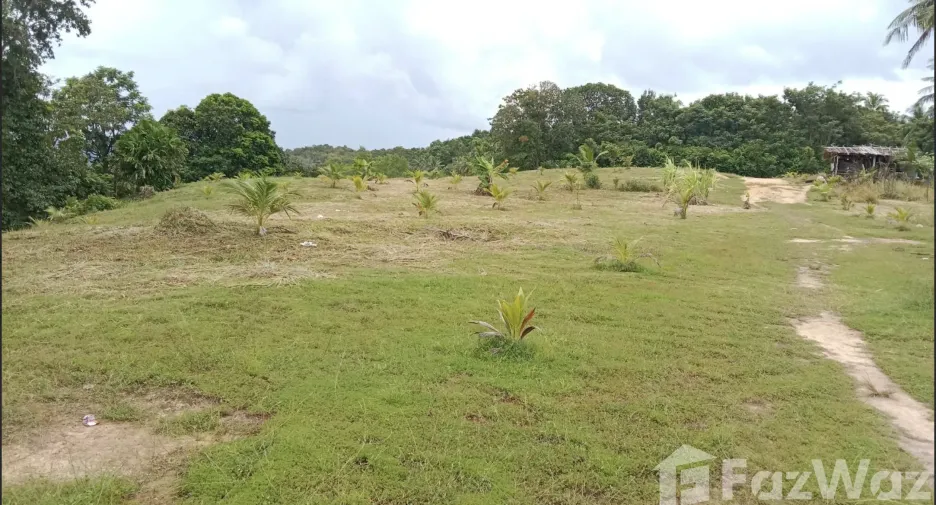 For sale land in Ko Yao, Phang Nga