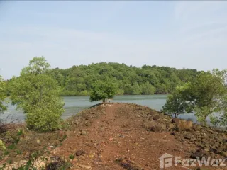 For sale land in Ko Yao, Phang Nga