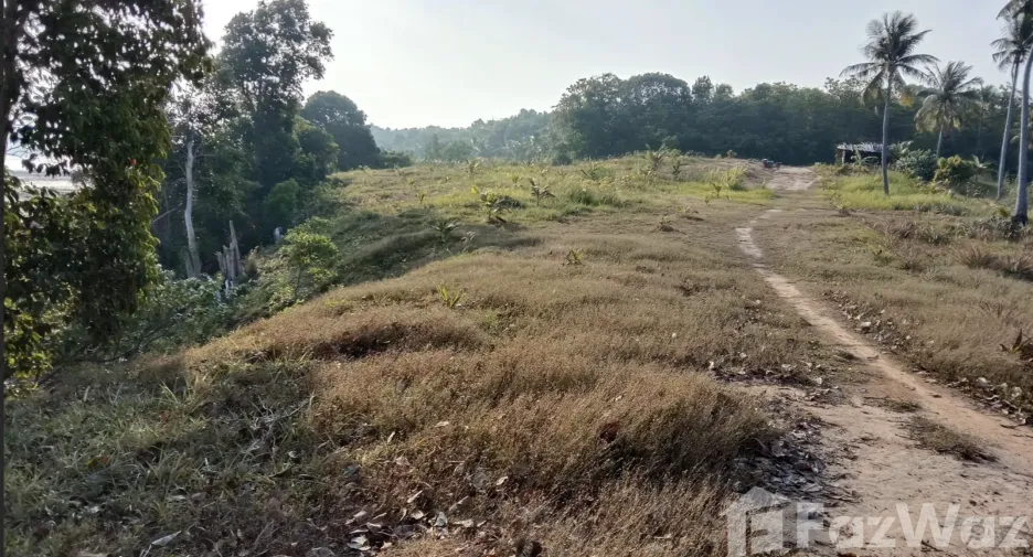 For sale land in Ko Yao, Phang Nga