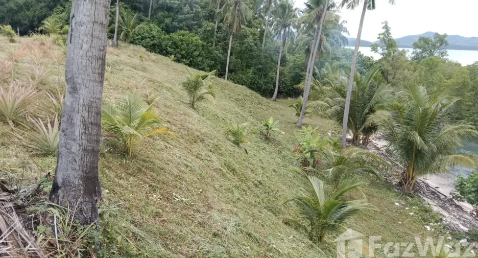 For sale land in Ko Yao, Phang Nga