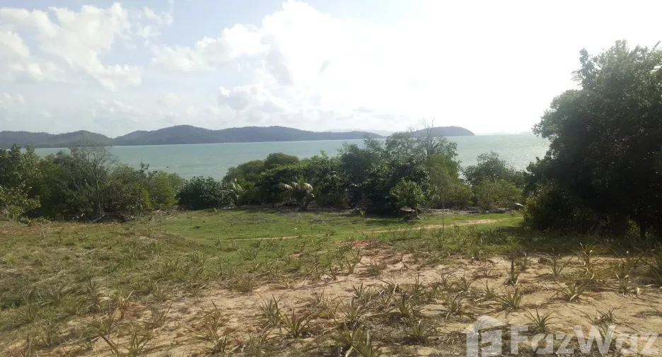For sale land in Ko Yao, Phang Nga