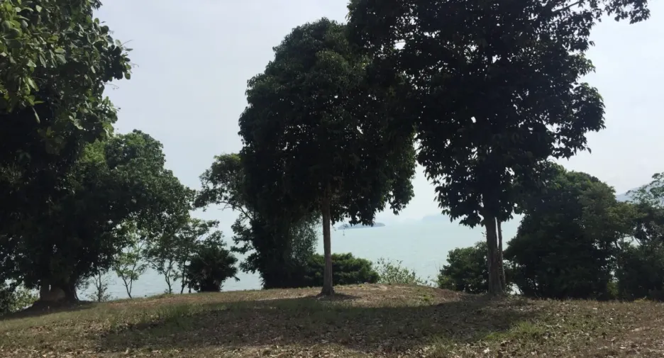 For sale land in Ko Yao, Phang Nga